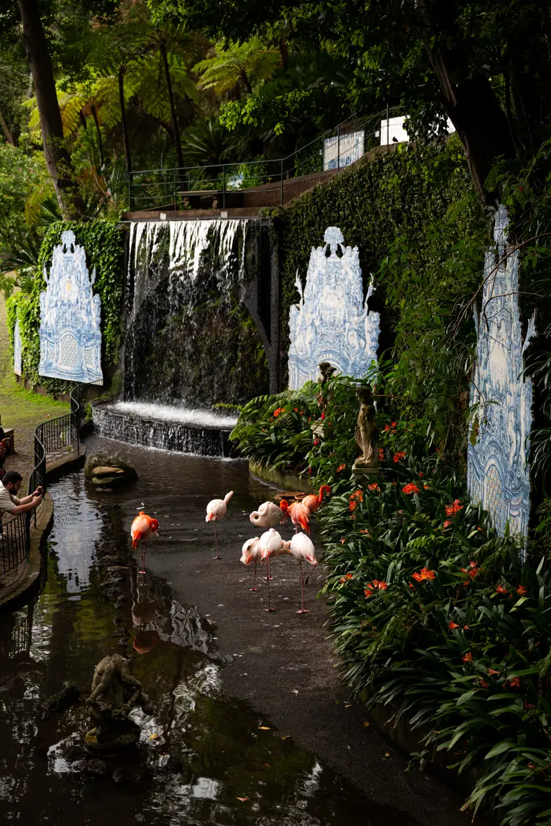 Tiles, a waterfall and flamingos in the Monte Palace gardens